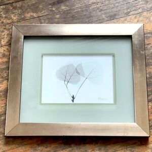Albert Koetsier Signed Art Print Aspen Leaves Brushed Nickel Frame